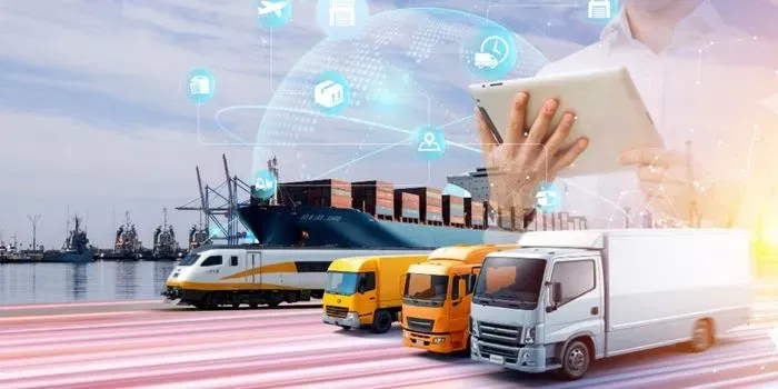 TİO Belgesi E-Devlet Üzerinden Sorgulama